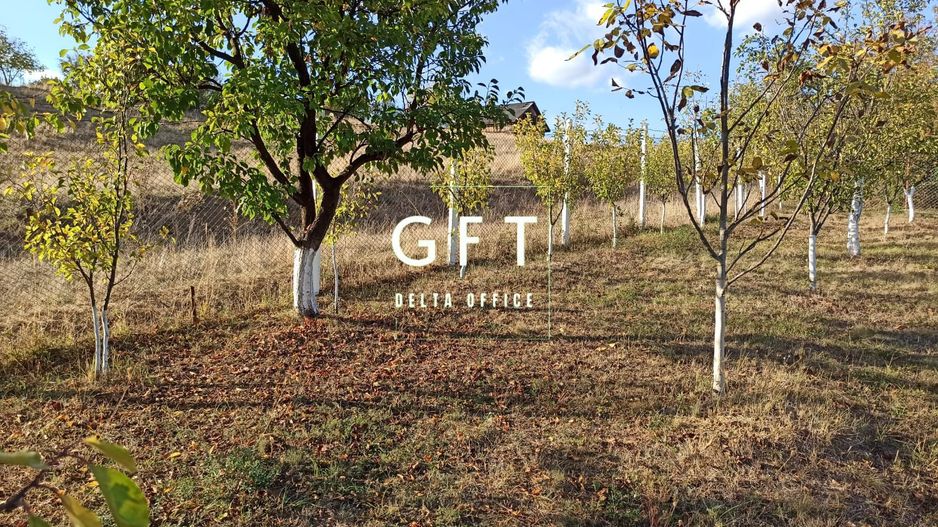 Teren intravilan 730 mp-livada-vedere panoramica-Valea Sigmirului - Poză 5