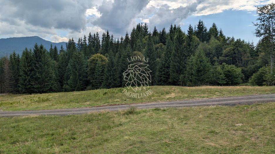 OFERTA! Teren intravilan 800 mp cu utilitati-ideal cabana-Colibita - Poză 3