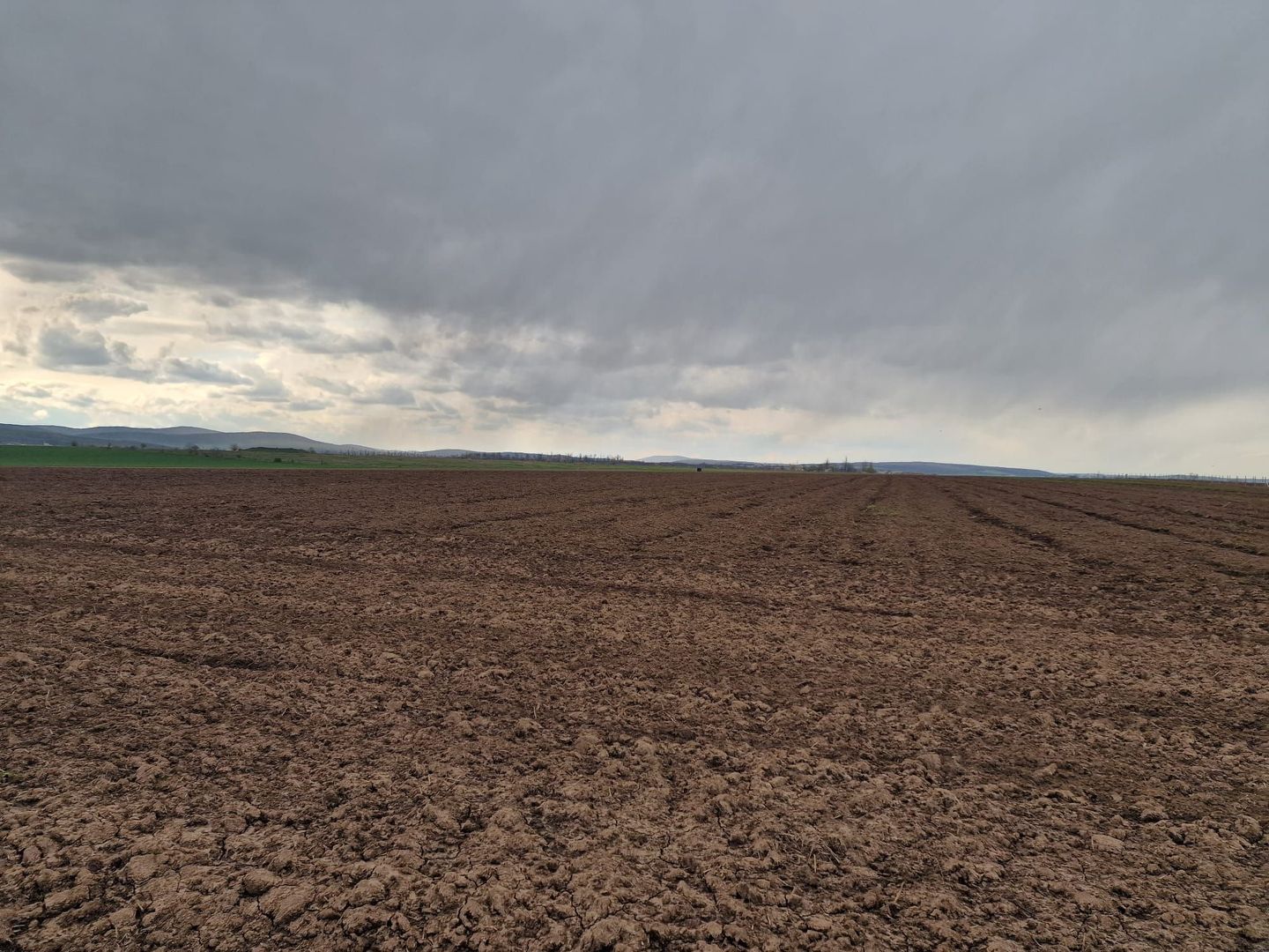 Teren 10,000mp Bacau / Strada Alexandru Safran - Poză 12