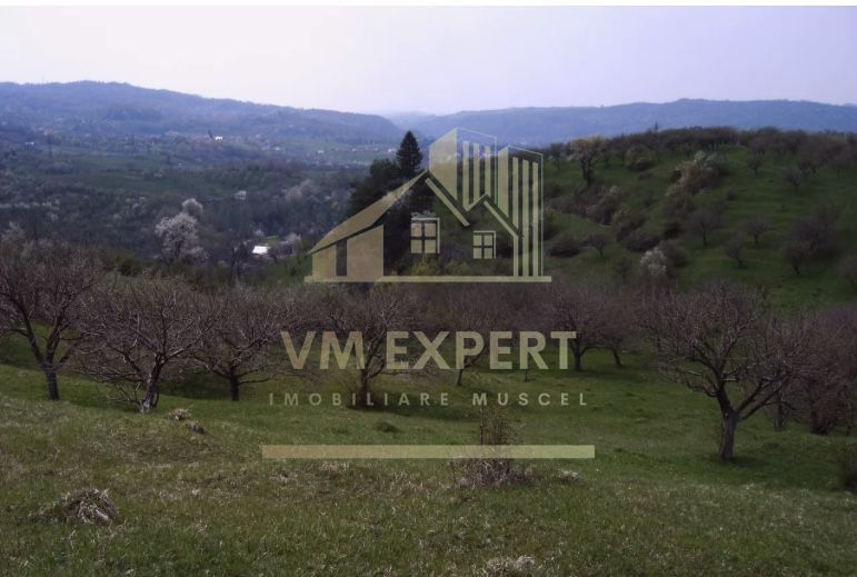 TEREN INTRAVILAN 1800 MP, MARCUS, CAMPULUNG - Poză 1