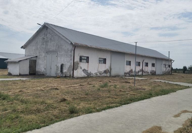 Proprietate industriala la 30 km exterior sud Timisoara - Poză 37