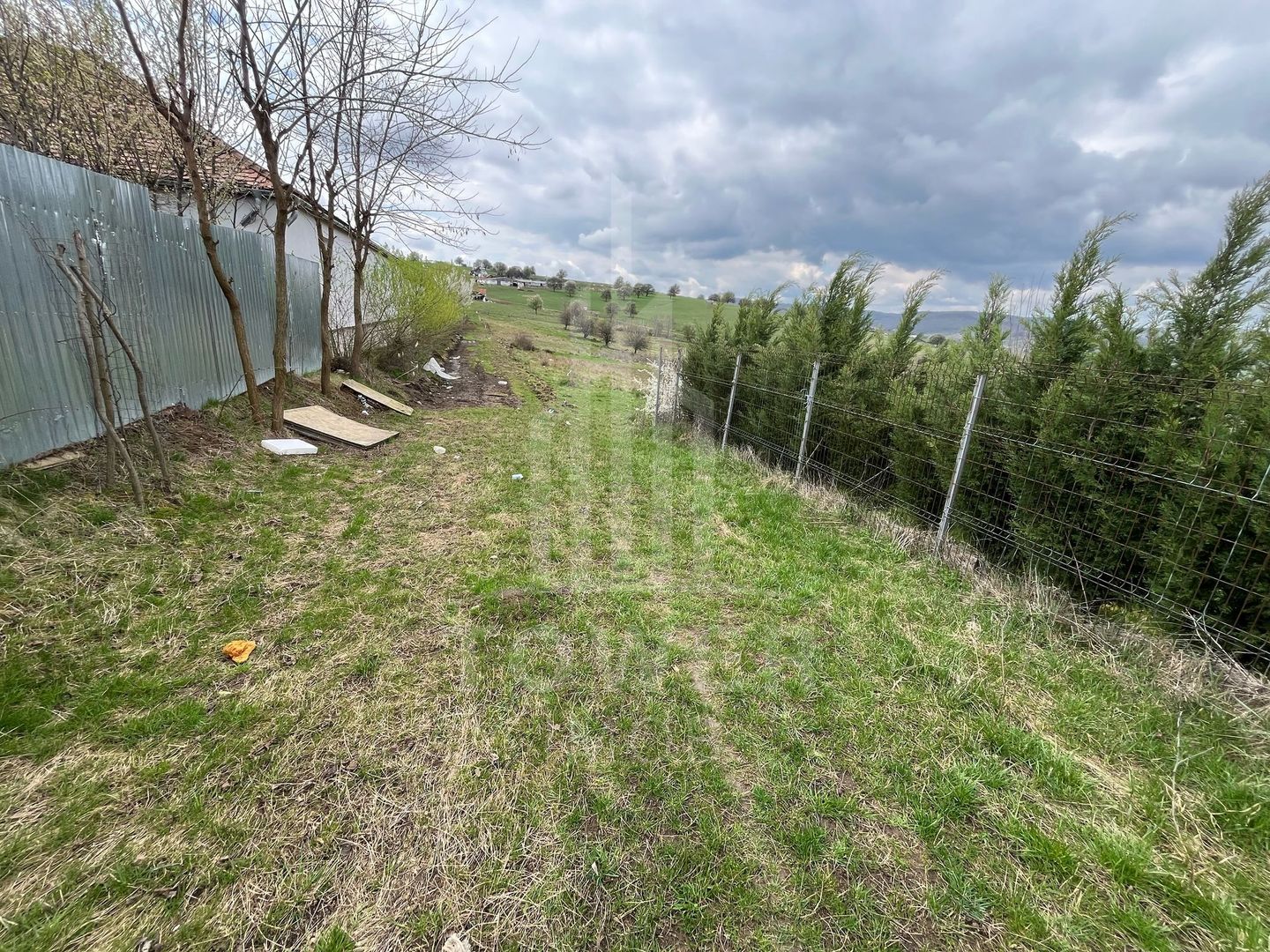 Terenuri de vânzare – Investiție cu potențial în Daia Nouă! - Poză 3