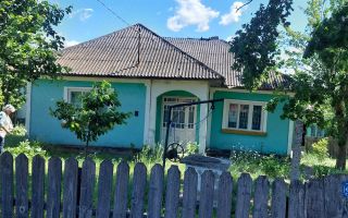 Casă de vânzare în satul Radeni, comuna Răscani, județul Iași - Poză 1