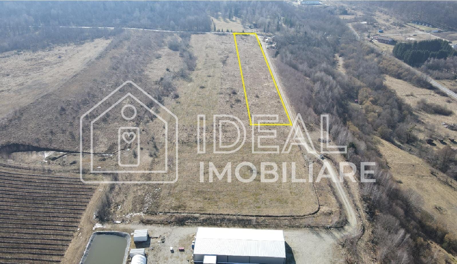 Teren extravilan 6.500 mp – Cârțișoara | Comision 0% - Poză 2