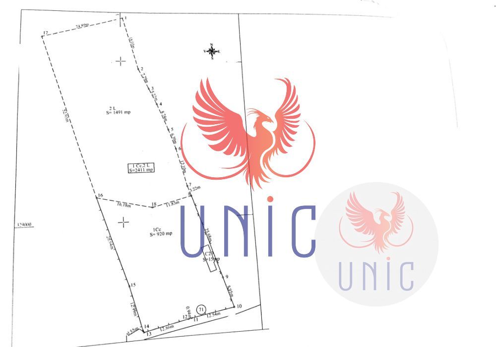 Teren intravilan Cernatesti - Schiță 4