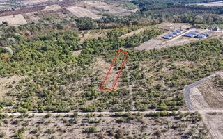 Teren Intravilan Paleu 2200mp - Poză 1