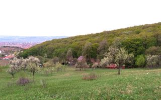 Teren intravilan de vanzare, Seigau - Poză 3