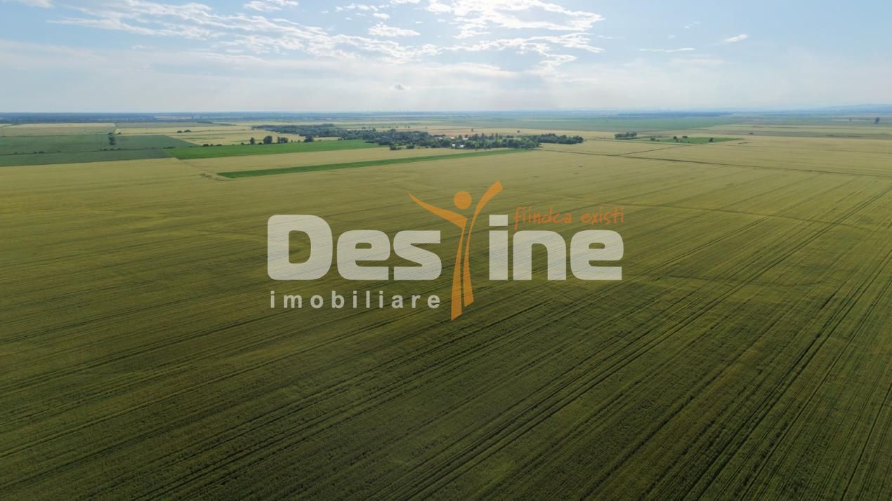 Teren extravilan, neimprejmuit, disponibil imediat, Dumbrava, Prahova - Poză 7