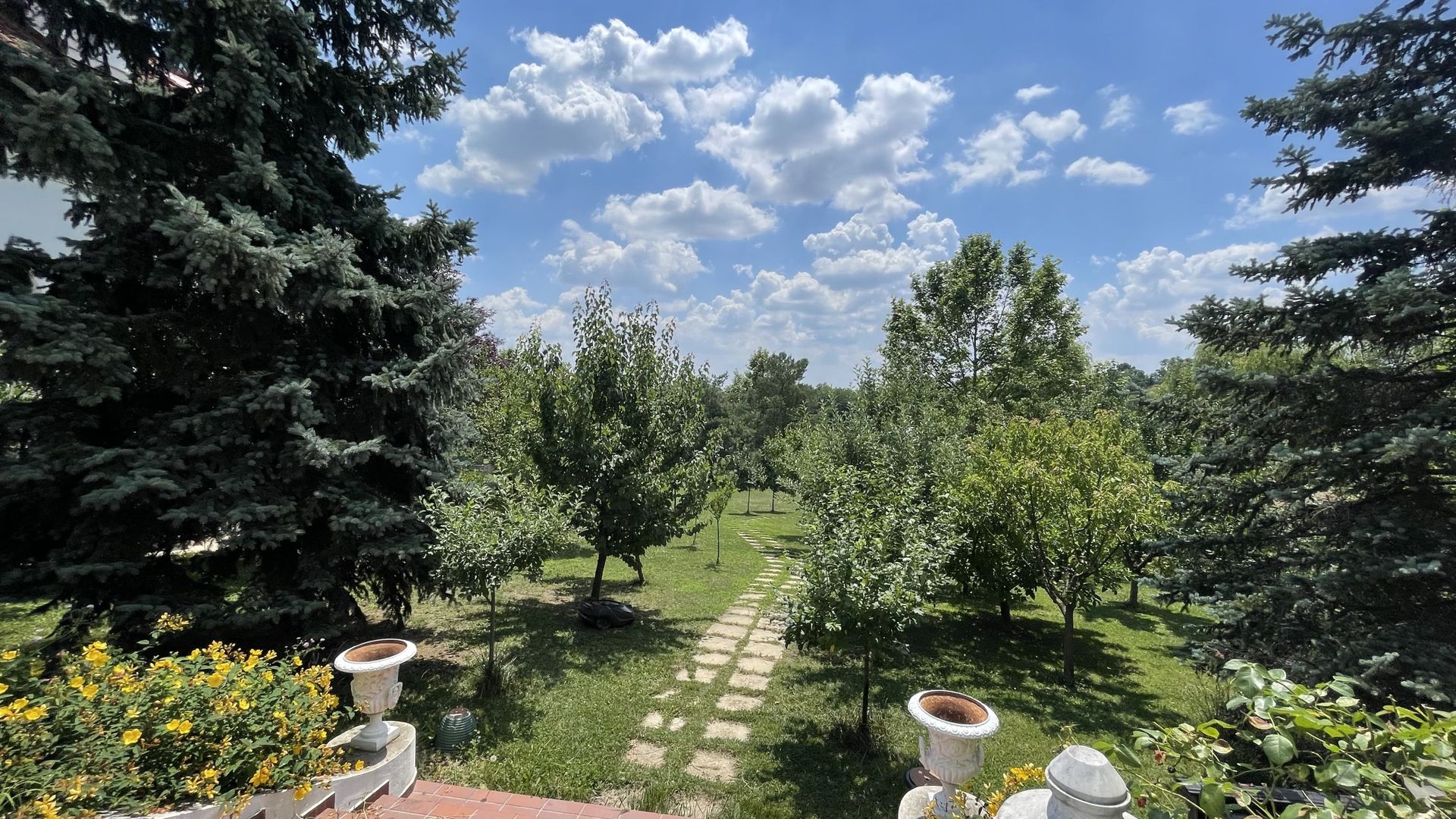 Domeniu vila Balotesti 4000 mp teren 60 m deschidere lac - Poză 13