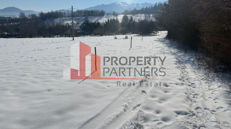 Teren Intravilan 1.500 mp | Vedere Panoramică| Tohanita - Poză 5