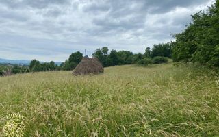 Teren Intravilan 3093 mp-ideal case/cabane/pensiune-Bistrita Bargaului - Poză 5