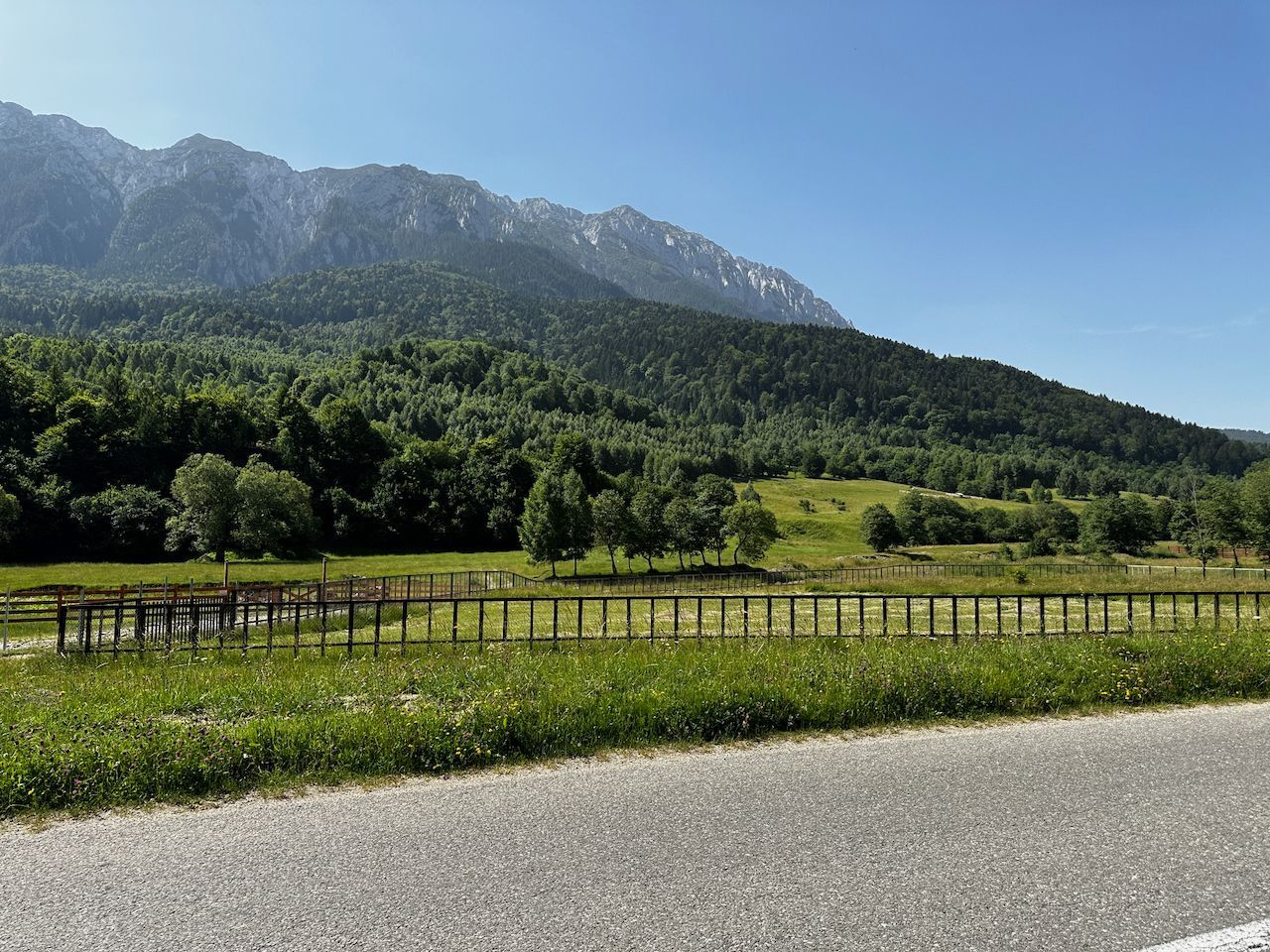 Teren intravilan - 1117 mp în Plaiul Foii - Poză 9