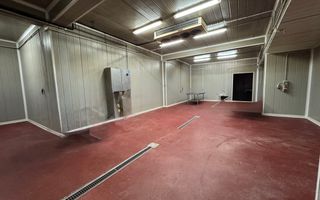 Hala pentru depozitare si distributie | Dumbravita - Poză 7