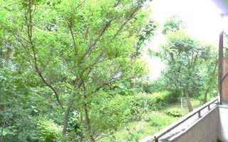 Apartament 3 camere | Etaj 1 | 2 balcoane | Vedere liberă | Complexul Mic–Astra - Poză 1