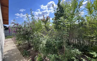🏠Casă plan parter, 3 cam, 73MP(330MP teren) // 📍Vișan - Bârnova - Poză 18