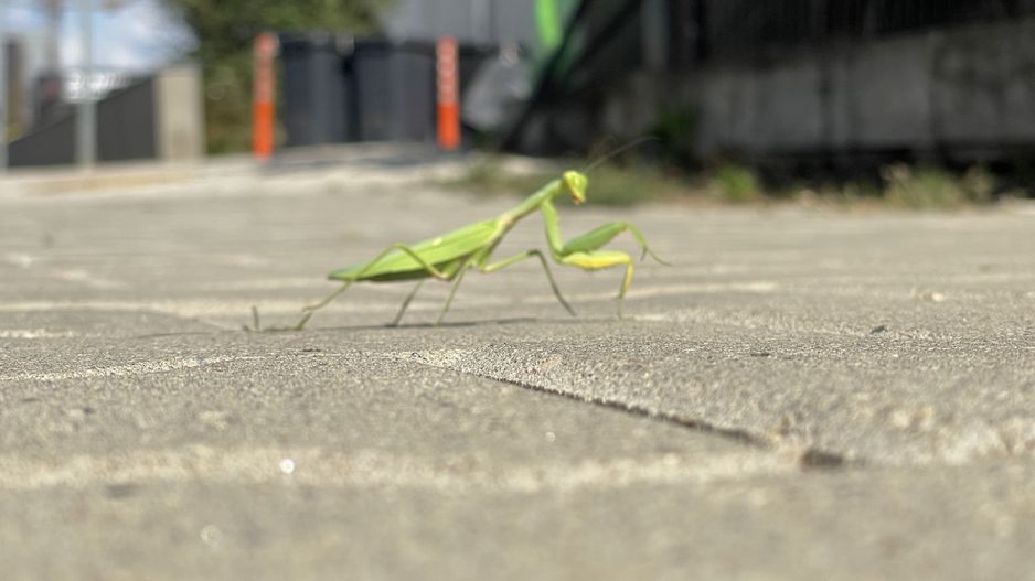 Parcare Subterana-3 camere & 2 bai | 2 niveluri & 2 balcoane - Poză 32