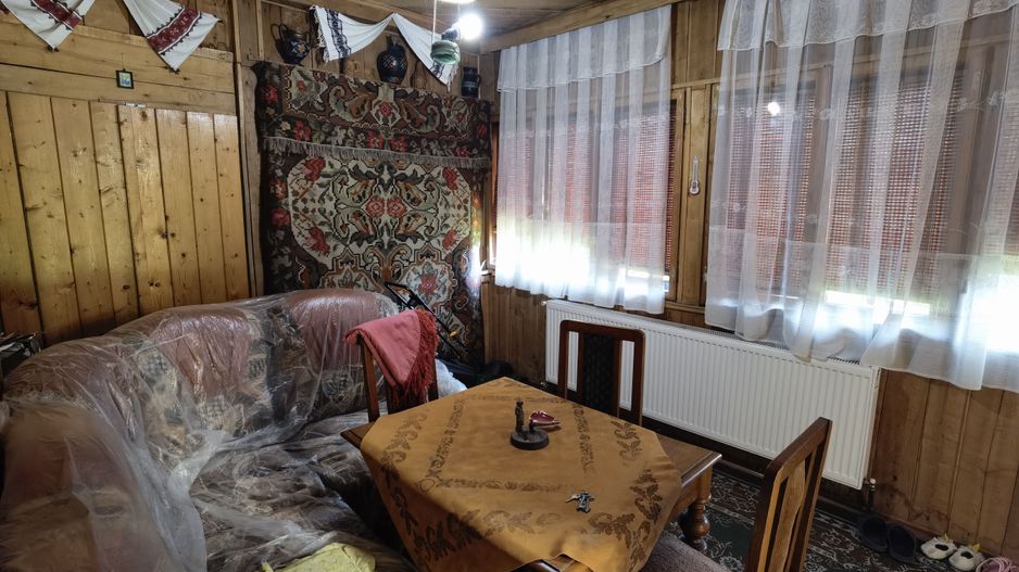 Casa vacanta,investitie  in Gurahont cu teren generos - Poză 16