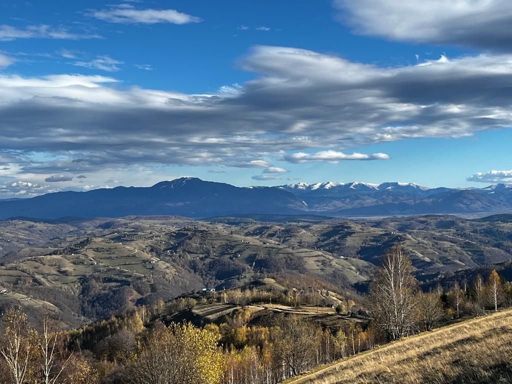 Teren extravilan 2ha, priveliste panoramica spre munti /Poiana Marului - Poză 1