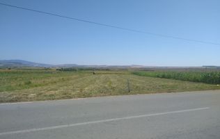 Teren 20000 mp (2 ha)-parcelabil-ideal cabane/agricultura/ferma-Jelna
