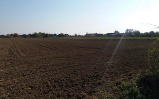 Investitie!Intravilan 55 ari capat Paulesti ( Intrare Ambud), 3.6 mf - Poză 2