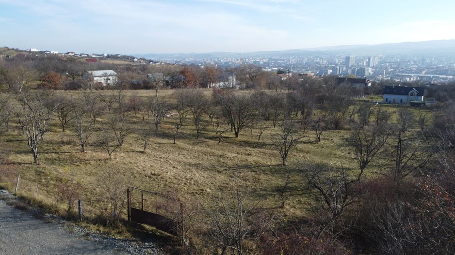 Teren 20.146 mp Dâmbu Rotund (Lomb).Extravilan.Potențial rezidențial - Poză 1