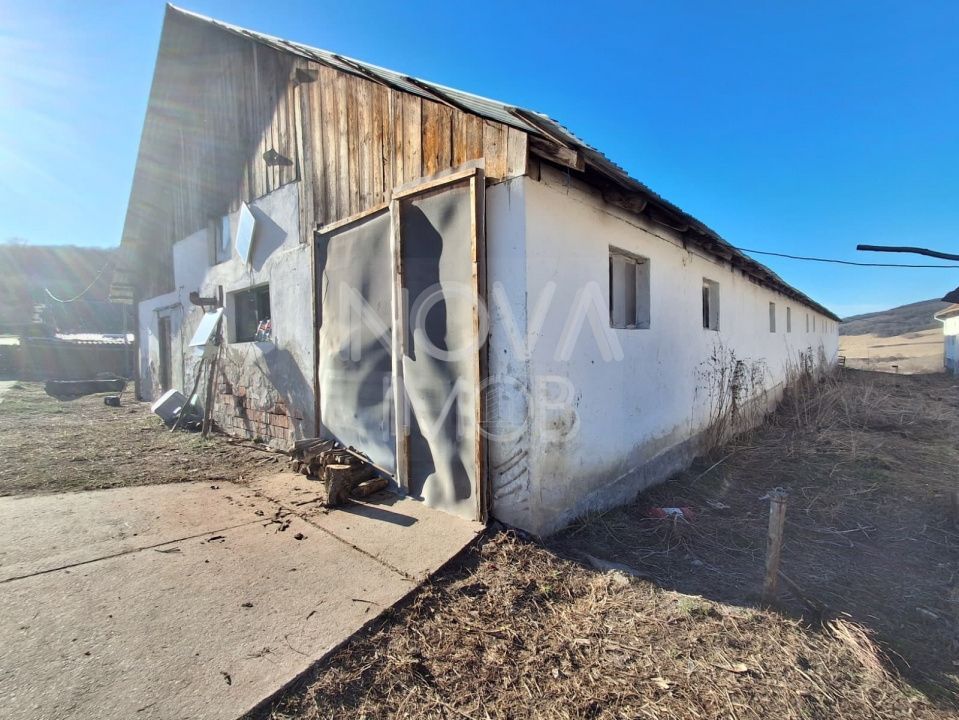 Ferma complet echipata de vanzare – zona Agnita, judetul Sibiu - Poză 7