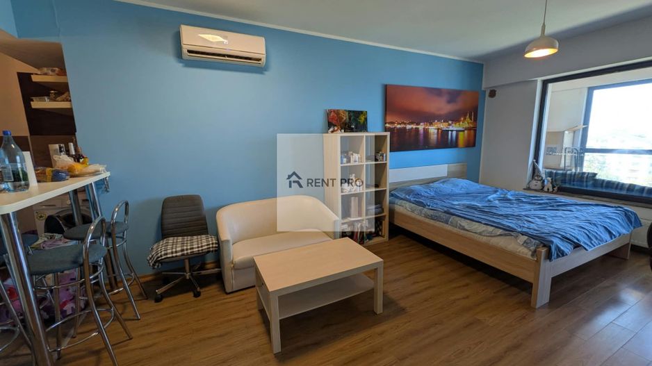 Studio Vedere Lacul Morii 43 Mp Lake House Virtuții - Poză 4