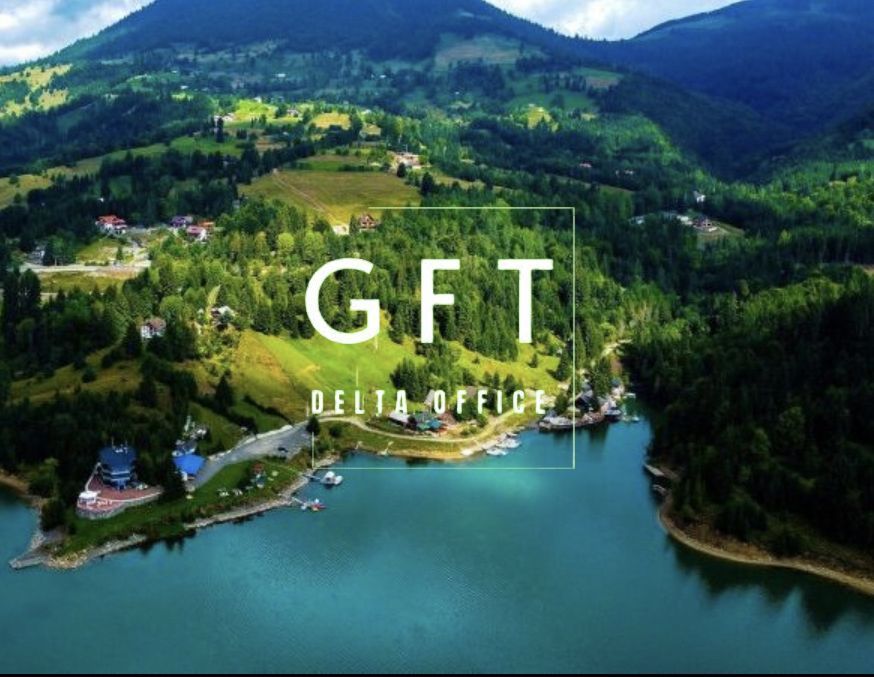 Teren parcelabil cu acces rapid la lacul Colibita - Poză 1