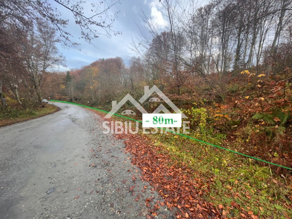 Oportunitate de investiție – Teren pentru hotel / pensiune pe Valea Avrigului - Poză 1