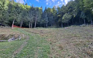Teren intravilan la munte - Poză 5