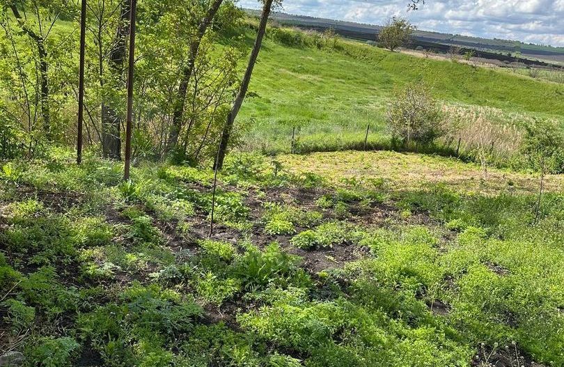 Vânzare, сasă, strada Calea Moșilor, s. Pelinia, or. Drochia - Poză 18