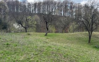 TEREN INTRAVILAN 4365 MP POENARII DE MUȘCEL  JUDEȚUL ARGES - Poză 27