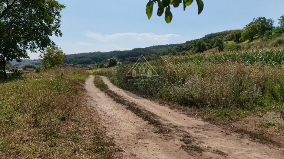 Teren intravilan Medias - de vanzare - Poză 4