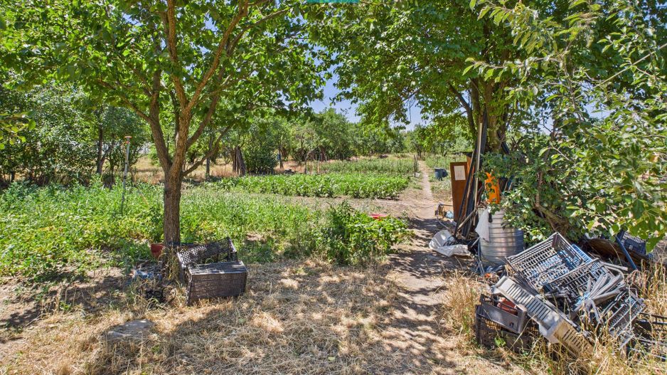 Casă cu 4 camere și teren de 1450 mp în Aradul Nou - Poză 3