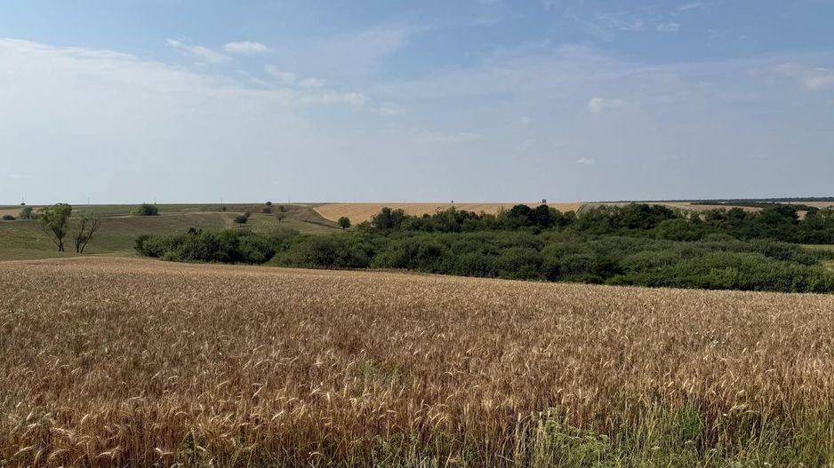Teren intravilan Miersig, vedere la lac. 12,5 E/mp neg. Comision 0 - Poză 11