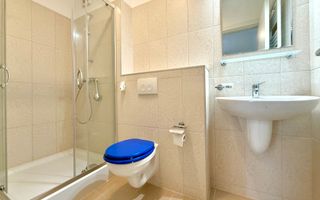 Apartament 3 camere, zona Lipovei, lângă pădure - Poză 14
