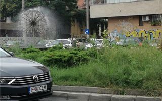 vanzare casa curte - Poză 9