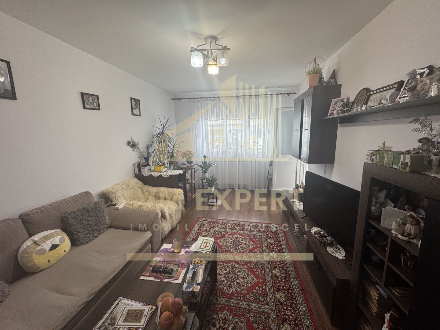 APARTAMENT 3 CAMERE ETAJ 4 VIȘOI CAMPULUNG - Poză 16