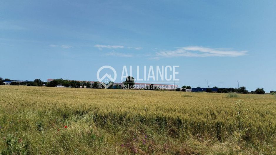 TECHIRGHIOL-CENTRUL LOGISTIC DEDEMAN (COD04)- Teren 500 mp - Poză 3