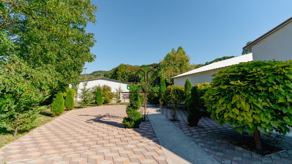 PENSIUNEA EVRICA - COSTESTI - HOREZU - VALCEA - Poză 52