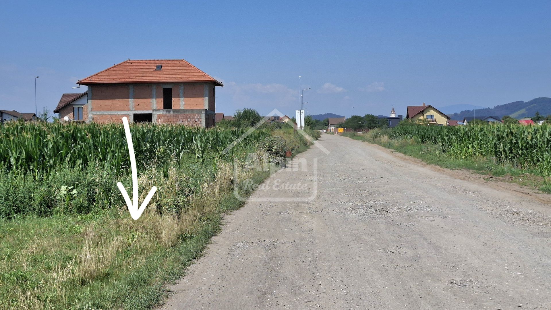 Teren Pretabil Investitie Harman - Poză 5