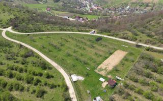 Teren 4850 mp - EXTRAVILAN - Slatinita - Poză 5