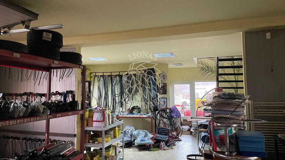 Hala la strada principala 350 mp-Viisoara - Poză 5