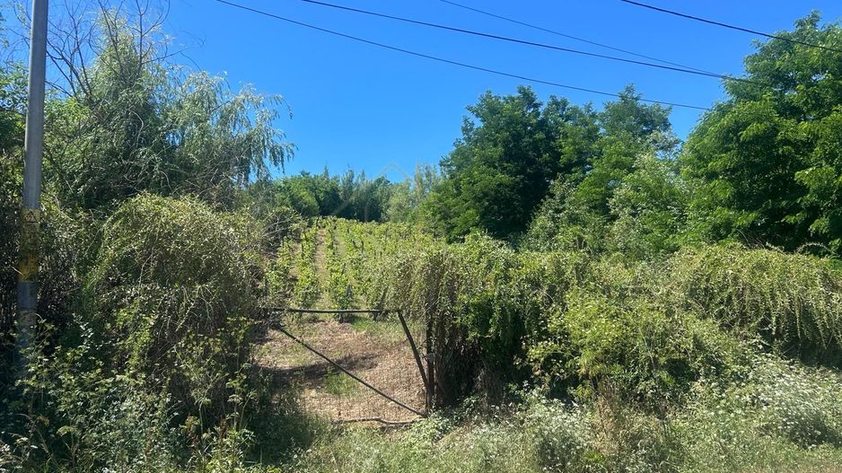 Teren intravilan de vânzare – Andrașești - Poză 2