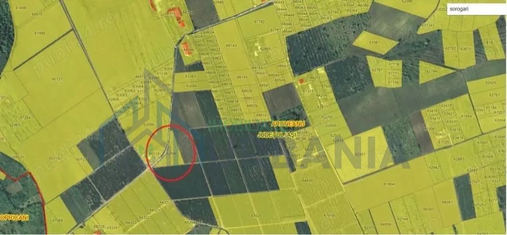 Teren de vanzare - Poză 2