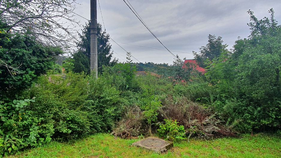 Schei gradina +casa de vacanta,  intre case,front pe trei parti - Poză 6