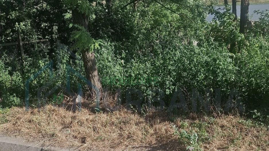 Casă de vânzare, sat Gropnița, teren 900 mp, 25 km de Iași - Poză 4