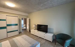 Dumbrăvița,zona pădure!Exclusivitate! - Poză 30