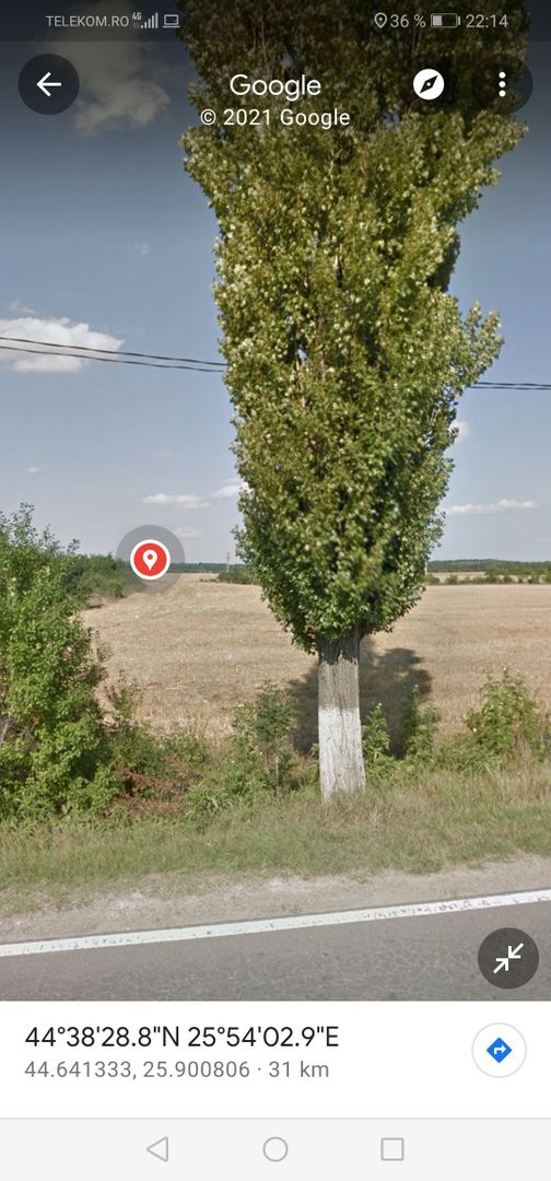 Teren intravilan 80975 mp in Crevedia - Poză 5