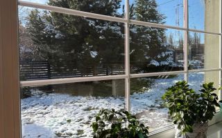 Casă de vânzare în zona Bucium, teren 946 mp, grădină și foișor - Poză 7